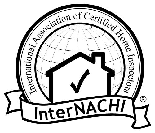 nachi logo